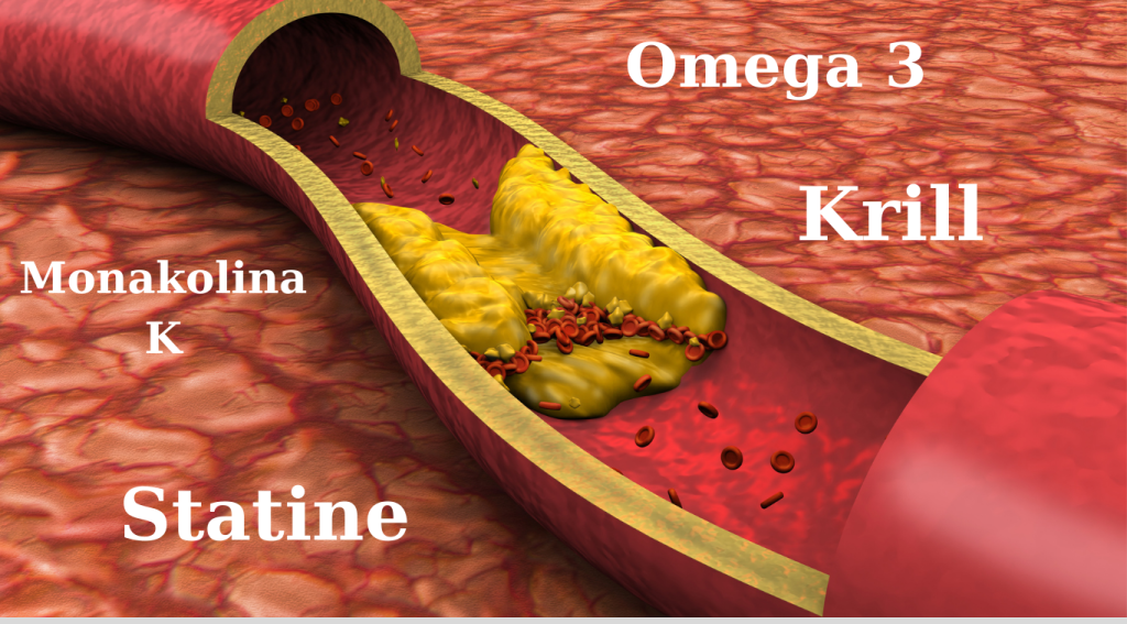 Omega 3 - Statine - Krill - Monacolina